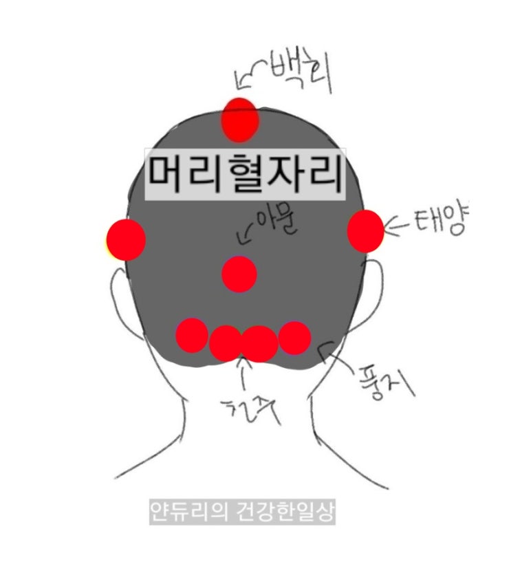 머리혈자리-(백회혈,태양혈,아문혈,풍지혈,천주혈)지압점 알아보기! : 네이버 블로그