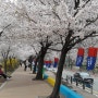 2022 여의도 벚꽃축제 벚꽃길,벚꽃나들이 미리 준비하세요