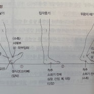 제대로걷기로자세교정이 가능한이유