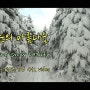 봄 눈의 아름다움, Spring snow beauty