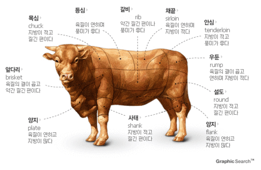 대체단백질 '배양육'을 아시나요? : 네이버 블로그