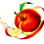 평촌미술학원 [펜톤미술학원] 맛있어 보이는 사과를 그리려면 어떻게 해야 할까요?? 윤기나는 사과 개체 표현 강좌!! 🍎🍎