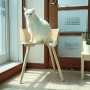 달이제이 선물로 고른 고양이용품 뽀떼 펫라운지L (고양이집 내돈내산)