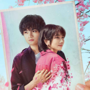 영화 벚꽃 같은 나의 연인(2022) - 봄에 만난 그녀를 찾아 해매다.