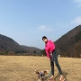오랜만에 봄캠핑, 대전상소오토캠핑장 e구역 강아지와 함께 다녀왔어요 ♡