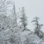 ☆ 화요산행 ☆ 진한 곰탕속 설악산 눈꽃산행 24km