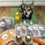 성남 수진역 반려동물 간식 맛집: 로이온(후기 및 가격)