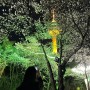 대구 무료벚꽃명소 이월드 83타워 벚꽃축제 추천 왕왕강추