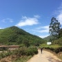남인도 여행 / 차의 마을 남인도 문나르 산책하기 / 여자혼자인도여행