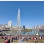 2022 벚꽃 개화시기 서울,경기도,수원 벚꽃명소