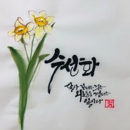 수선화 캘리그라피