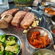 제주 [물통식당] 현지도민 추천, 흑돼지연탄구이 맛집