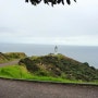 Cape Reinga 레잉가 곳 /TePaki Coastal Track/ 뉴질랜드