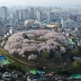 세입자가 있는 경우 일시적 2주택 비과세를 받기 위한 신규주택 이사·전입기한 해설 및 현실적인 문제점