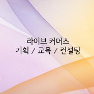청주라이브커머스 기획 컨설팅 교육까지 원스탑으로!
