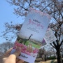 대구 근교 벚꽃 축제 가산수피아 즐길거리 볼거리 가득
