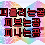 피흘리는꿈 피흐르는꿈 피보는꿈 피마시는꿈 피나는꿈 총정리!!!