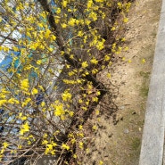 봄이다