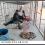 아산죽산지3/29일 월요일 상류권 부터 전지역 조황 입니다