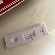 코로나19 자가키트, 신속항원검사, 결국 의사소견서/검사의뢰서로 PCR받기