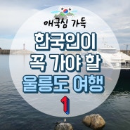 인천버스터미널에서 울릉도 저동항까지 이동하는 법 (출발 전 버스&선박&펜션 예약하기)