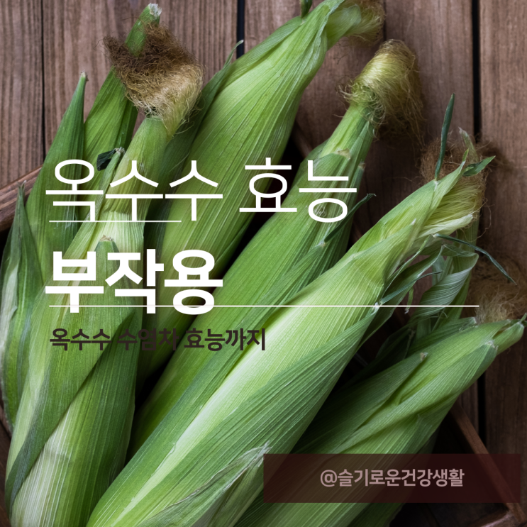 옥수수 효능 옥수수차 수염차 부작용 : 네이버 블로그