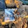 경주 감포 대본 갯바위 무늬오징어 에깅낚시 조황
