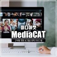 AI 번역 CATTOOL 미디어캣(MediaCAT) 영상번역기로 자막 만들기