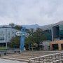 [강북구수영장] 일요일도 자유수영 가능한! 강북문화예술회관수영장