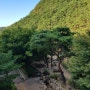 [1년 전 오늘] 달성군 화원자연휴양림 1박2일 : 마비정벽화마을,남평문씨본리세거지
