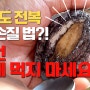 완도 전복 손질법 완도 전복 맛있게 요리법 완도 내장 손질법