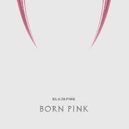 ☆미쵸쓰☆ BLACKPINK - Pink Venom(낑쌤)