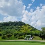 포천 베어크리크, 봄 벚꽃 구경 하기 좋은 골프장