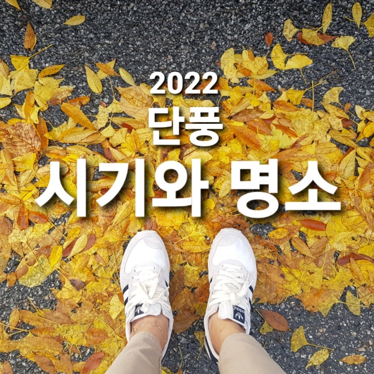 2022 전국 단풍 절정 시기와 명소 추천 (충주 가볼만한곳 월악산 가을 단풍 구경 놀이) : 네이버 블로그