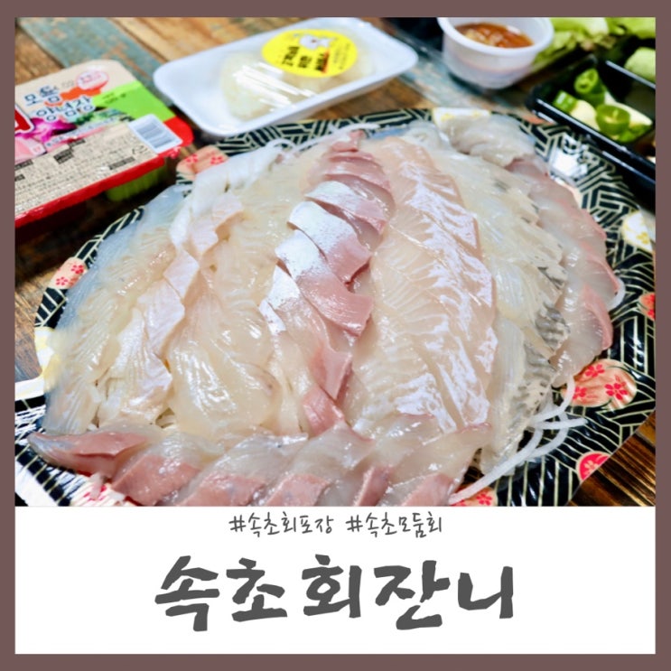 속초회포장 모두가 인정하는 모둠회 퀄리티 속초회잔니 : 네이버 블로그