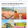 네이버 메인에 제 블로그가 네 번째 소개되었어요 🥳(feat. 시흥갯골생태공원)