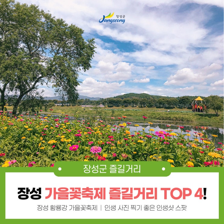 [전남 볼거리] 어머 이건 꼭 가야해! 장성 황룡강 가을꽃축제 즐길거리 Top4! : 네이버 블로그