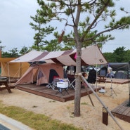 송지호해변 오호캠핑장
