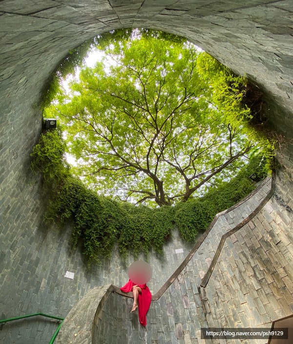 [아시아/싱가포르] Fort Canning Park: Tree Tunnel = 포트캐닝파크 트리터널 (feat. 싱가포르 포트 ...