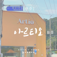 광주 효천지구 애견동반카페, 아르티오(Artio) 스콘 맛집 핫플!