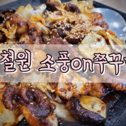 철원 맛집! 소풍on쭈꾸미 추천 백종원의 골목식당 신철원 맛집 소풍온쭈꾸미 내돈내산