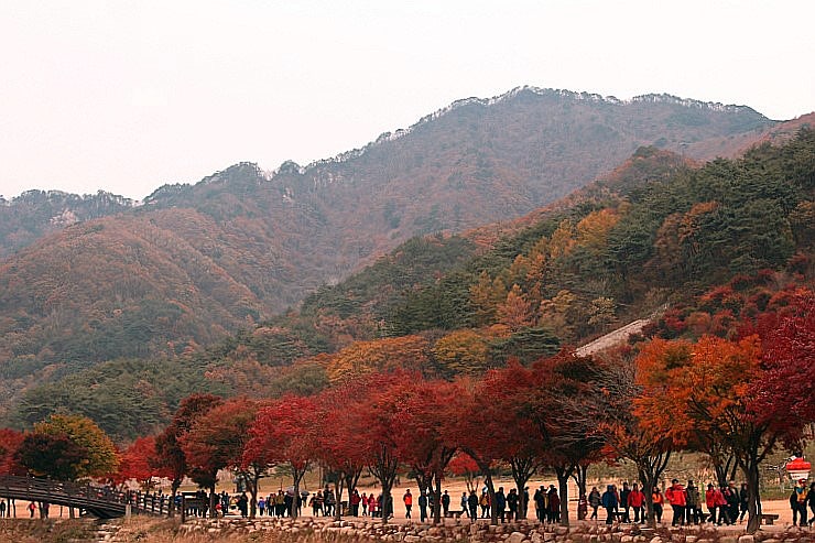 2022 단풍시기, 강원도 설악산, 화담숲, 대구 팔공산 포함 전국 단풍 명소 10월 가을여행지 추천! : 네이버 블로그