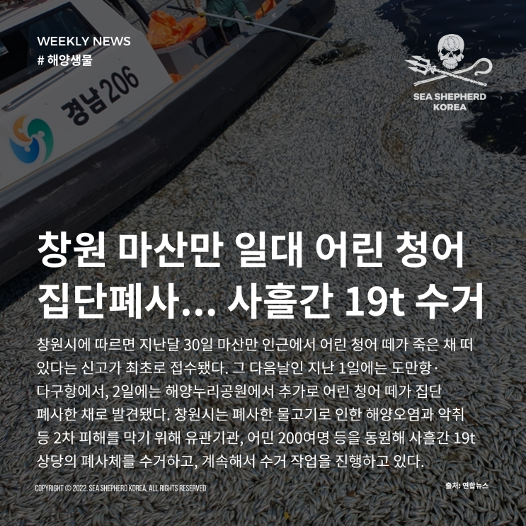 [Weekly News] 10월 1주차 바다 소식 : 네이버 블로그