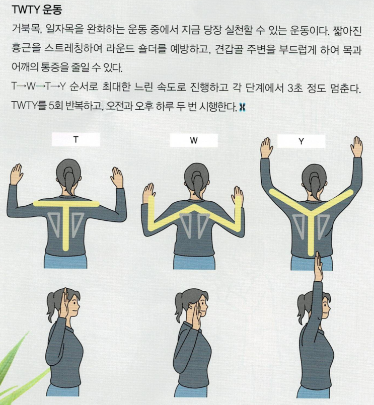 경추디스크 운동 : TWTY운동 : 네이버 블로그