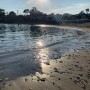 [울산] 호피폴라 - 간절곶 카페, 그리고 아름다운 나사리해변