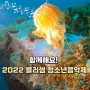 강릉에서 보내 온 영상 편지 (feat. 함께해요! 2022 블러썸 청소년음악제)
