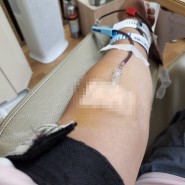 헌혈 32회차!