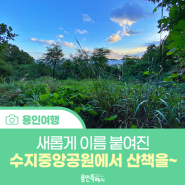 [용인 여행] 새롭게 이름 붙여진 수지중앙공원에서 가을 산책을~