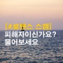 로맨스 스캠의 피해자이신가요?