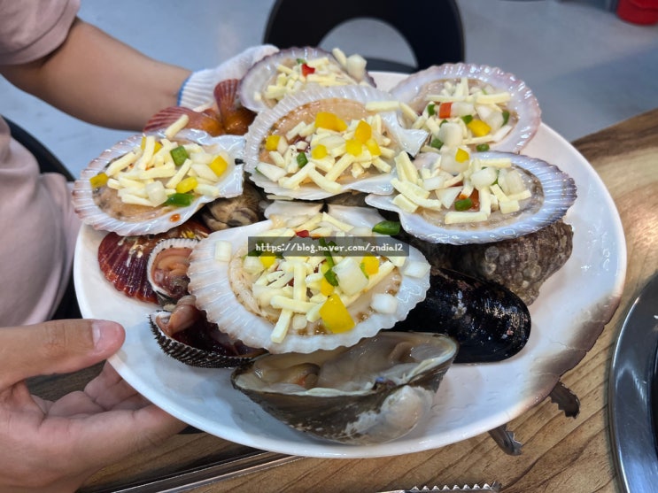 [인천 영종도] '꼬니네 회 조개구이' 조개구이+물회 맛집! : 네이버 블로그